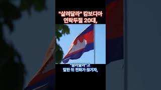 살려달라 캄보디아 연락두절 20대, 홀로 귀국