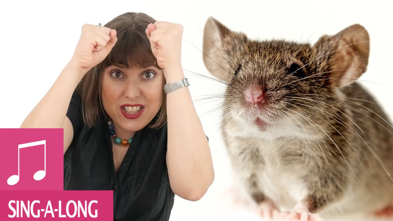 Little Mousie Brown by Alina Celeste Kids Songs YouTube