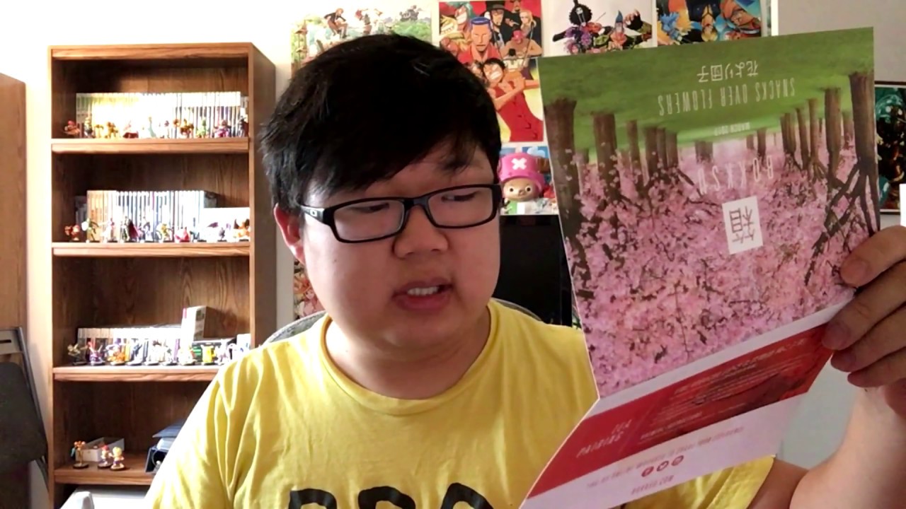 Let's Try Classy Japanese Snacks with Tea (Bokksu March 2017)