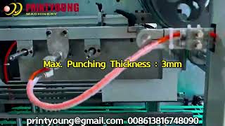 SPB-550 Automatic Punching Machine