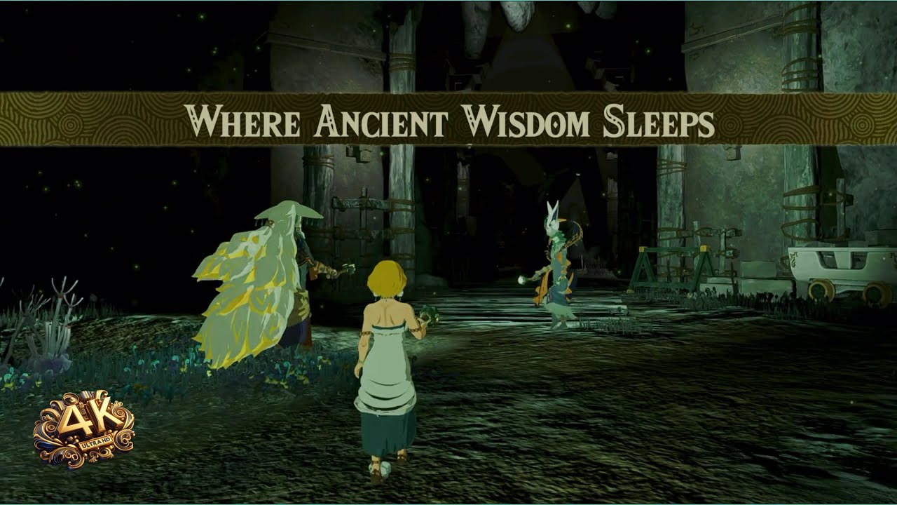 Zelda Hyrule Warriors Age Of Imprisonment🔥 Where Ancient Wisdom Sleeps HARD Nintendo Switch 2 4K MOD