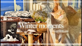 Travel vlog - 🌨️ Winter moments | Christmas vibe in Hafnarfjörður | Feeling cozy ❄️