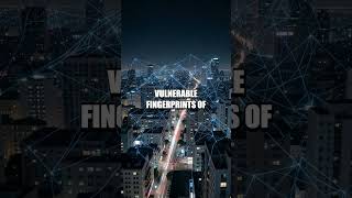 Whispers in the Digital Vault