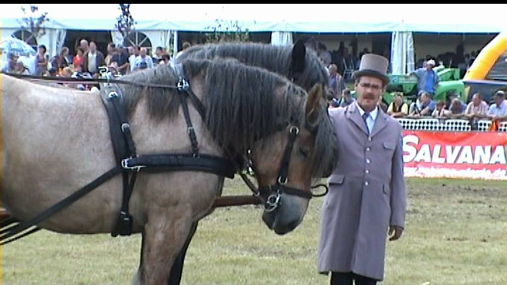 TITANEN DER RENNBAHN 2011