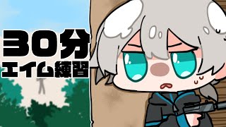 【VALORANT】 深夜練習 【にじさんじ／ジユ】
