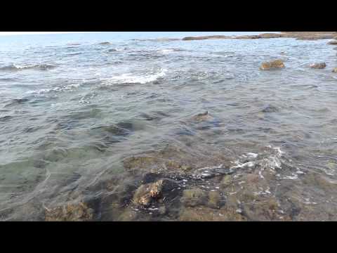 მაჭავარიანი ნინო....ზღვას ვეამბორე ციდან მალულად...