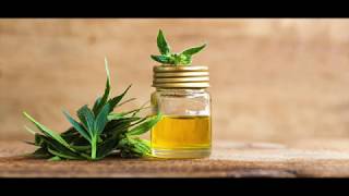 Cbd Extraction And Purification Process
