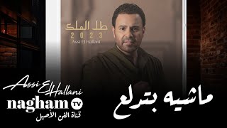 ماشيه بتدلع  عاصي_الحلاني  2023