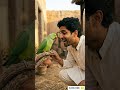 खुशियों भरी सुबह — जब पूरा परिवार एक साथ आया | Indian Village Family Story