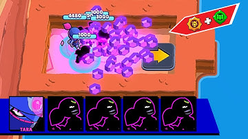Pumba Brawl Stars 500 Top