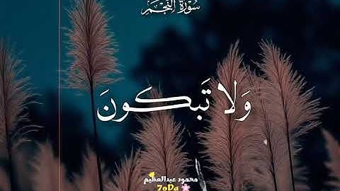 القران الكريم راحة نفسية تلاوة خاشعة حالات واتساب قران كريم تلاوات القران الكريم بصوت جميل #حالات