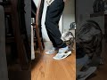 ママとまるも猫のケンカ