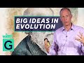 A Small History of Big Evolutionary Ideas