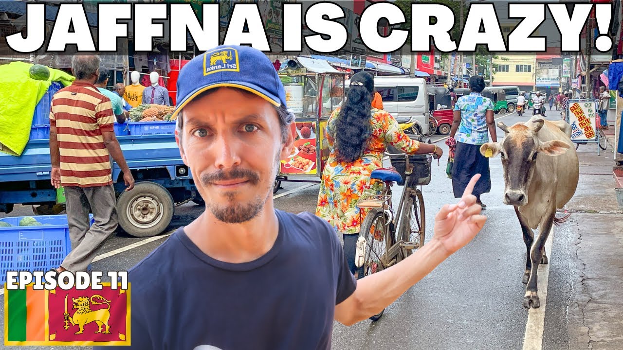 ЭП 11: МЫ УЗНАЛИ ШРИ-ЛАНКУ С НОВОЙ СТОРОНОЙ 🇱🇰 ДЖАФНА — ЭТО ДРУГОЙ МИР! (просто в шоке!)