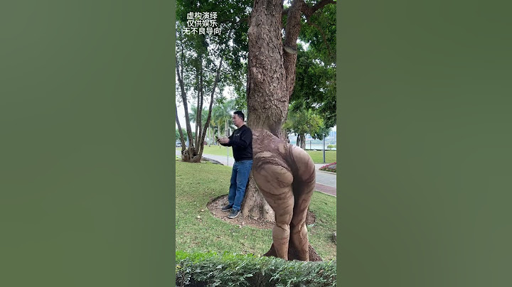 The talking tree is a magical tree that has become a spirit