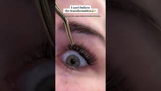 Diy Lashes At Home Amor Lashes