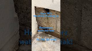 Hidden Leak Causes Major Water Damage | Miami Leak Detection 💧