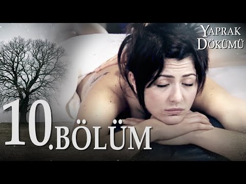 Video: Dökülmə Ordusu kiber məlumatlılığı nədir?