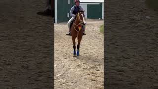 IMG 1616 IMG 1616