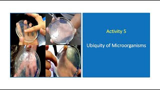 Activity 5.  Ubiquity of Microorganisms