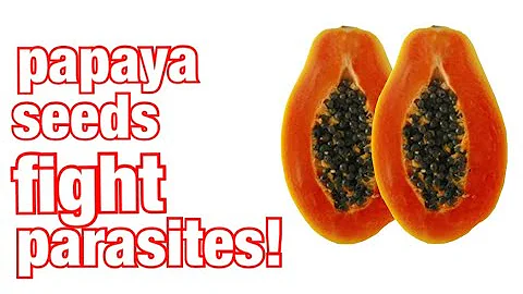 Eat Papaya Seeds For Parasite Cleanse Part 1 of 2