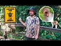 El parque de monos “ladrones” de Bali: ¿ES VERDAD? | Ubud Forest 🇮🇩🐵