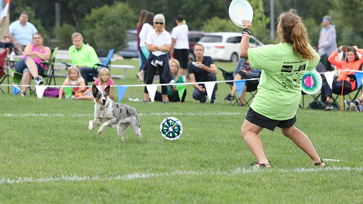 IMG 3834: 2019 AWI World Championship Finals Round...
