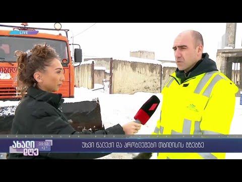 #ახალიდღე უხვნალექიანი გაზაფხული და შეფერხება გზებზე