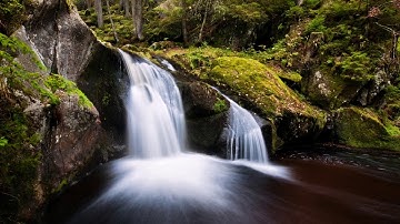 Surat Al-Jinn - Abu Obaid Mahmood Al-Tabib | سورة الجن - ٲبو عبيد محمود الطبیب