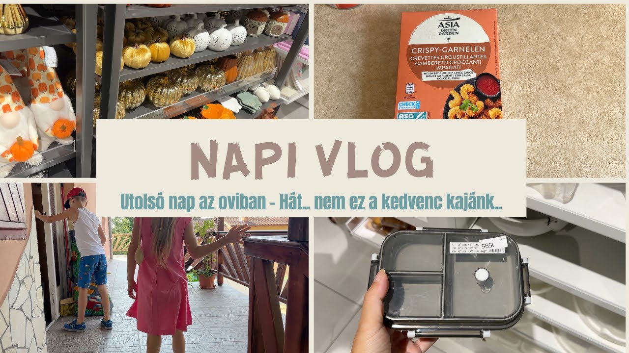 NapiVlog (aug. 31-szept 1.) - Utolsó nap az oviban 🥹 - Hát.. nem ez a kedvenc kajánk..🤢