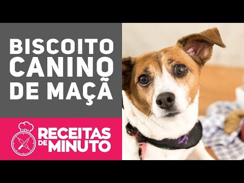 BISCOITO CANINO DE MAÇÃ - Receitas de Minuto EXPRESS #269