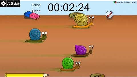 4 Minute Snail Racing Timer (fast)