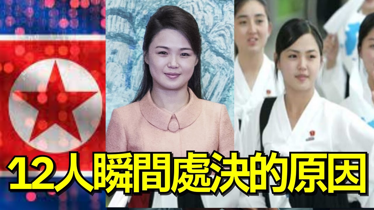 【真實】12人瞬間處決的原因...金正恩妻子的禁忌過去