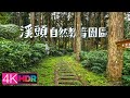 Forest Walk - Xitou Nature Eduction Area｜溪頭自然教育園區｜4K HDR Dolby Vision｜iPhone 13 Pro杜比視界