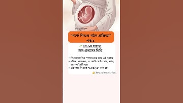 “গর্ভে শিশুর গঠন প্রক্রিয়া”৫ম–৮ম সপ্তাহ: #foryou #pregnancy #গর্ভাবস্থা #weekbyweekpregnancy#shorts