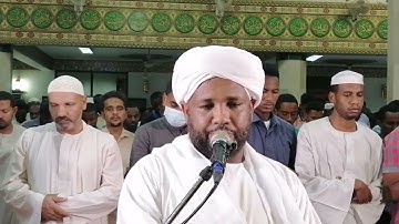 سورة الانفال .. الشيخ الزين محمد أحمد