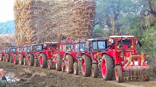 Most Badly Mud stuck trailer Belarus Tractors pulled out Extremely Powerful Tractors