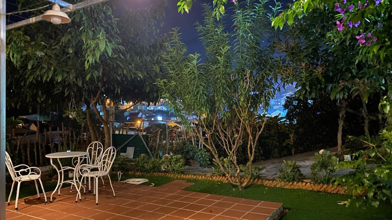 Baby Owl, Dalat, Vietnam | Travel With Bhumika