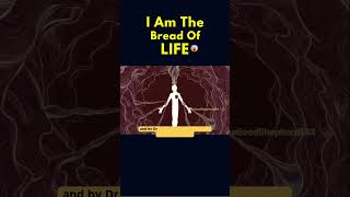 I Am The Bread Of Life 😱🥹♥️ #Shorts #Youtubeshorts #Catholic #Jesus #Miracle #Fypシ