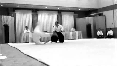 AIKIDO, Takeshita san tori, Alan Pellegrini uke, a...