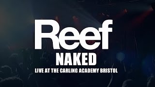 Reef - Naked (from Live at the Carling Academy Bristol)