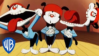 Animaniacs | The Burpee Song | Classic Cartoon | WB Kids