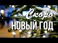 С добрым зимним утром! Уже Декабрь! Значит, Скоро Новый год!