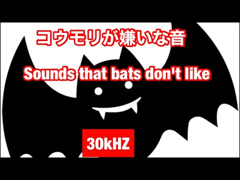 コウモリ撃退音 Bat Repulsion Sound Youtube