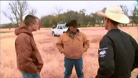 Range and Pasture Quality (C2C)