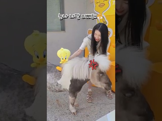 눈나 나만 바라봐!😤Loona, just look at me!