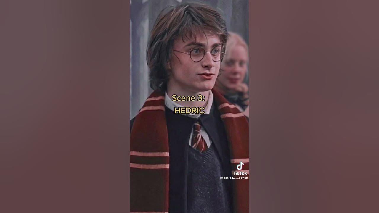 Harry Potter Gay Panic Youtube