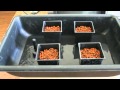 How to setup homemade ebb  flow tray