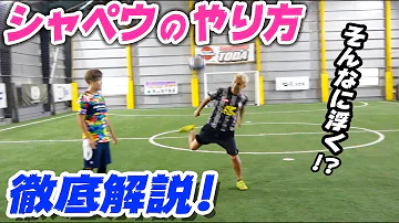 تحميل シャペウ