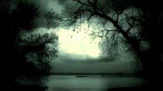 Wolgalied. Allein,wieder allein. Der Zarewitsch. Franz Lehar. Marino van Wakeren.Tenor.